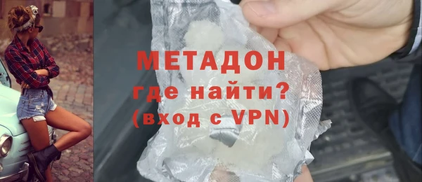 хмурый Аркадак
