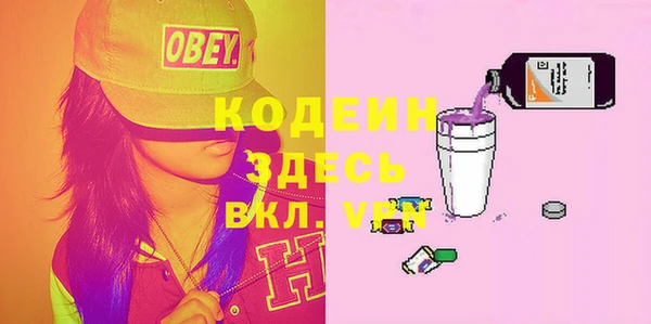 хмурый Аркадак