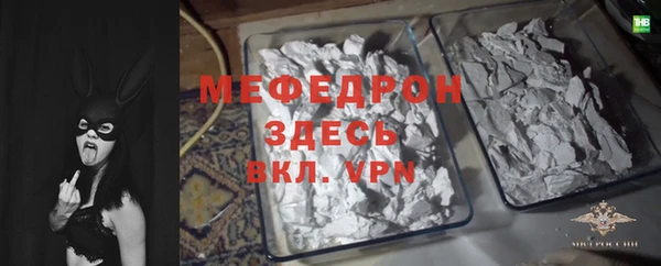 хмурый Аркадак