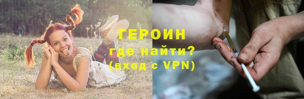 хмурый Аркадак