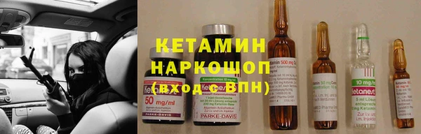хмурый Аркадак