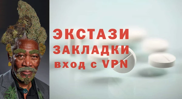 хмурый Аркадак