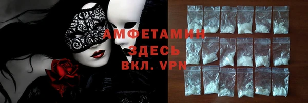 хмурый Аркадак