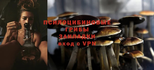 хмурый Аркадак