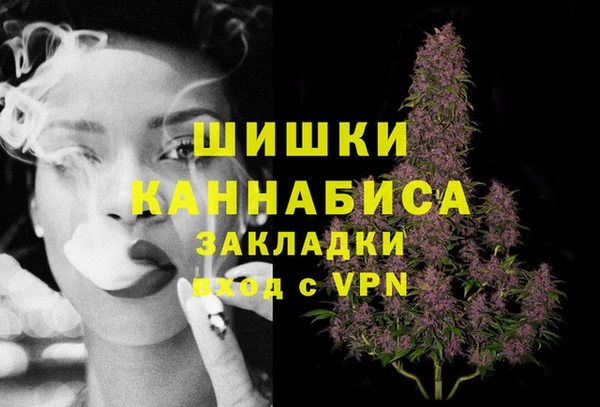 хмурый Аркадак