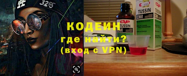 хмурый Аркадак