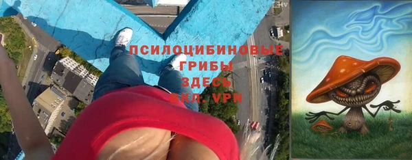 хмурый Аркадак