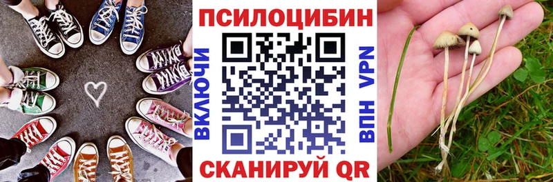 как найти закладки  Темрюк  Галлюциногенные грибы Magic Shrooms 
