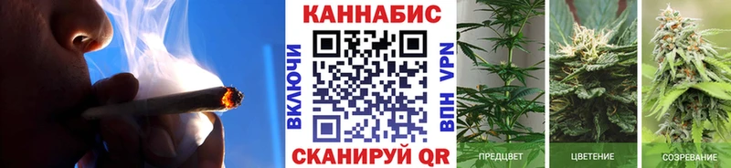 Шишки марихуана планчик  Темрюк 